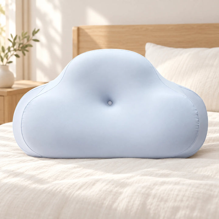 Cloud Contour Memory Foam Pillow