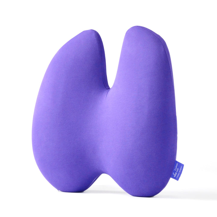 Easevora Lumbar Support product image 17
