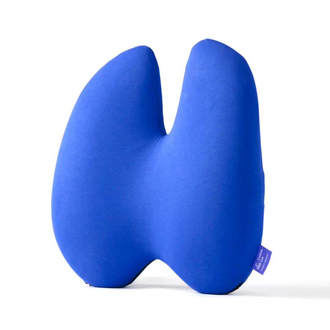 Easevora Lumbar Support product image 19