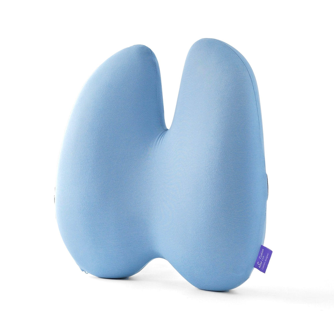 Easevora Lumbar Support product image 20