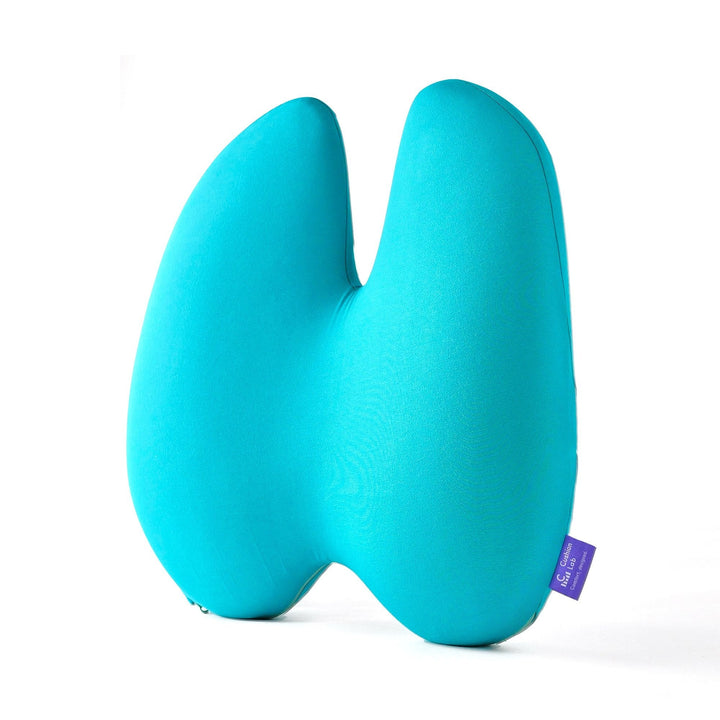Easevora Lumbar Support product image 24