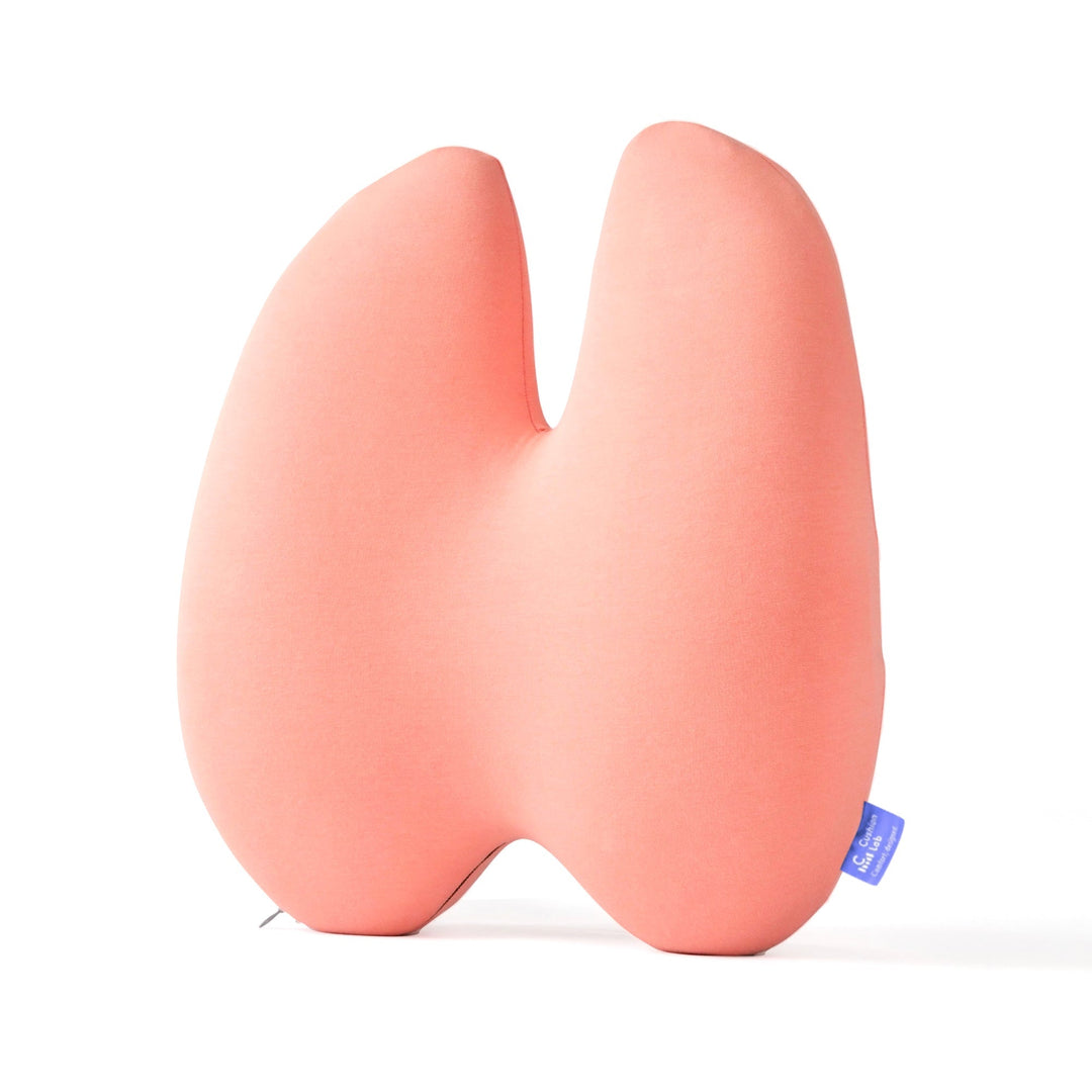 Easevora Lumbar Support product image 33
