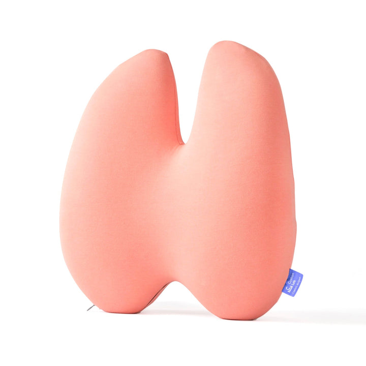 Easevora Lumbar Support product image 33