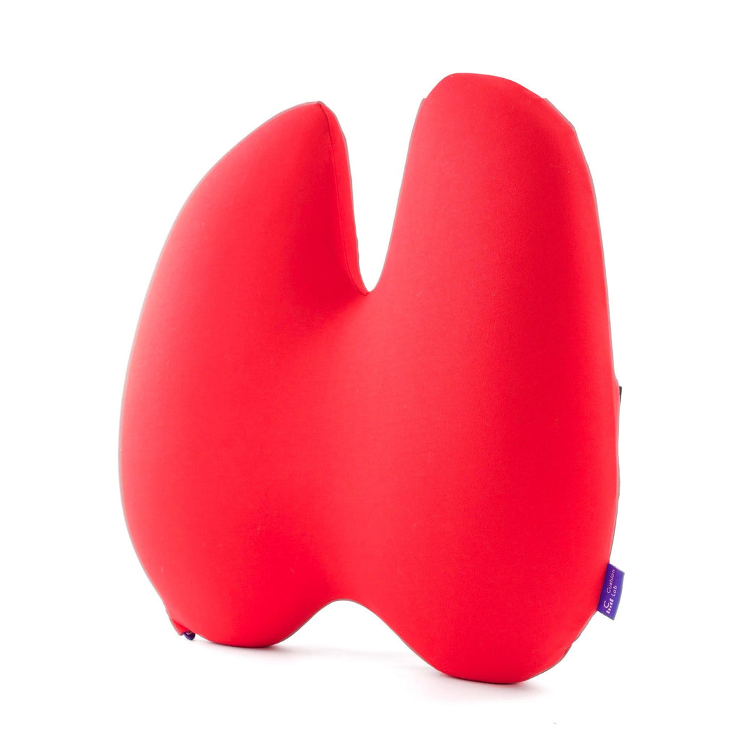 Easevora Lumbar Support product image 35